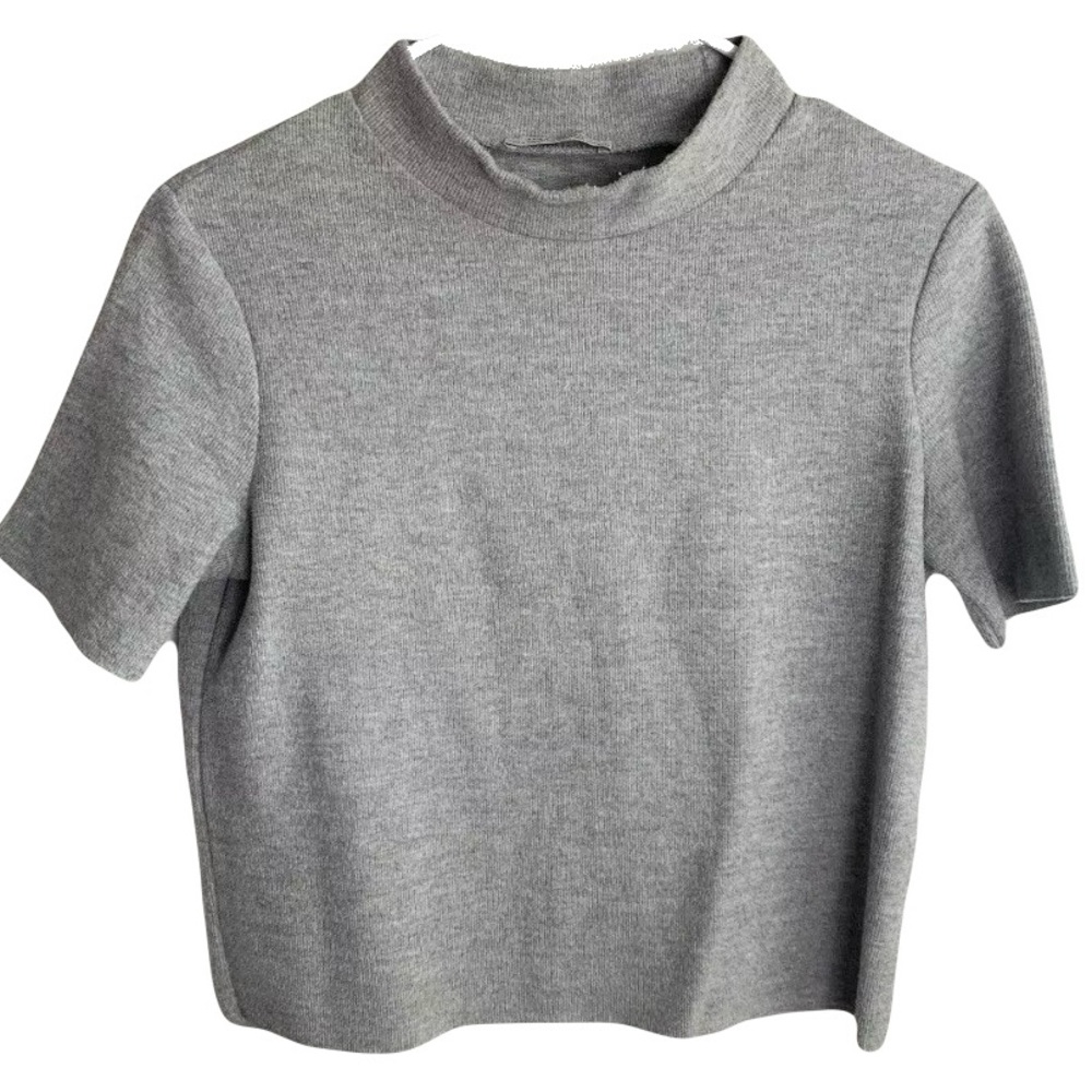 Zara Gray Top